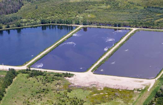 pond-08