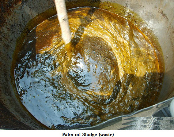 sludge-palm-oil-06