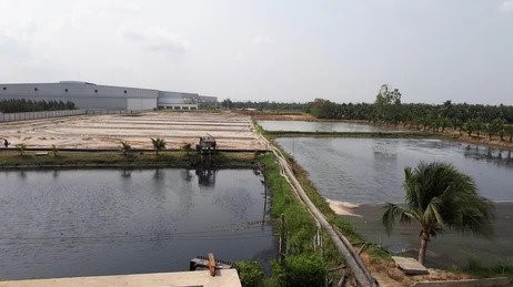 pond-03 (1)